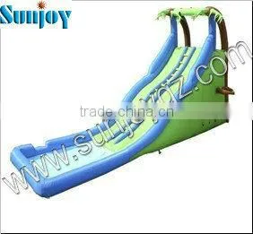 Water Slide Giant Inflatables Inflatable Slide Water Park for Adult