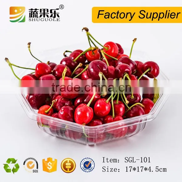 Promotional Transparent Plastic Pet Tray photo-2
