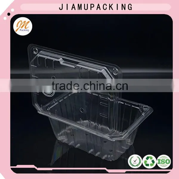 Hot Sale Clear Folding PET Blister Packaging Box photo-4