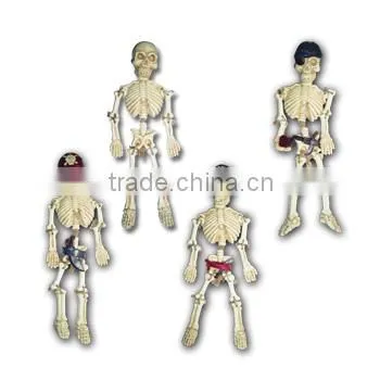 Pirate Dig Kit, 4 Assorted, 8pcs per Display photo-3