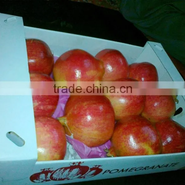 Bulk Of Pomegranates From Egypt photo-3