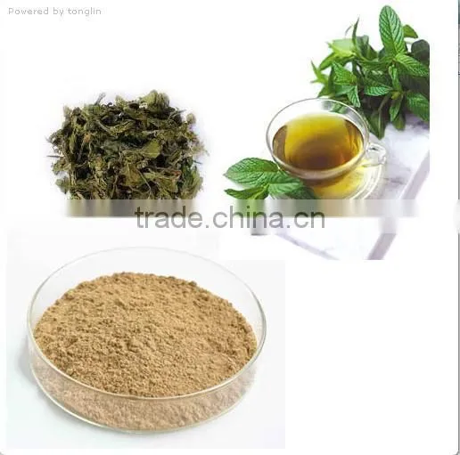 High-quality Green Tea Extract Camellia Sinensis With Tea Polyphenols 98% and EGCG 80%