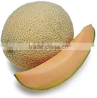MELON FLAVOR