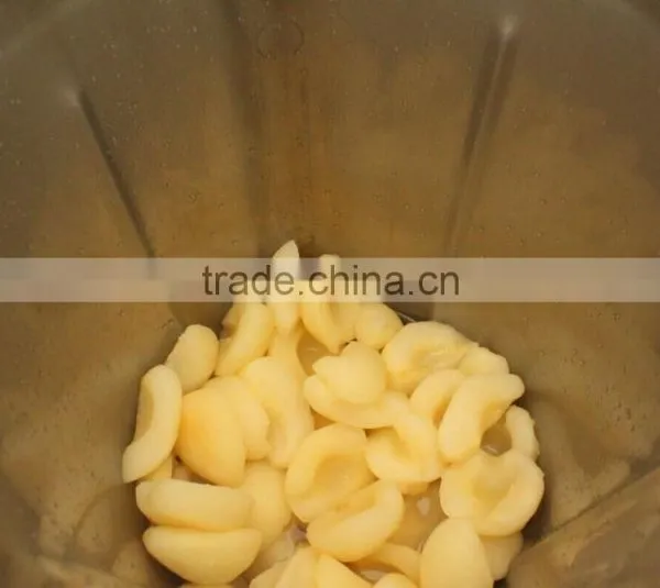 FC-310 Fruit Juice Machine Vegetable Juice Malt Sprout Juice Liquid Food Making photo-4