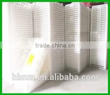 HB High Quality Customized Chicken Transport Cage,wholesale Plastic Transport Cage photo-4