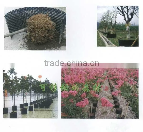 Zhejiang Manufacture High Reflective Growing Systems Trays photo-3