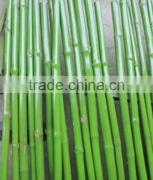 CHY030924 Guangzhou Shengjie Artificial Bamboo Plant Sticks With Bamboo Leaf photo-3