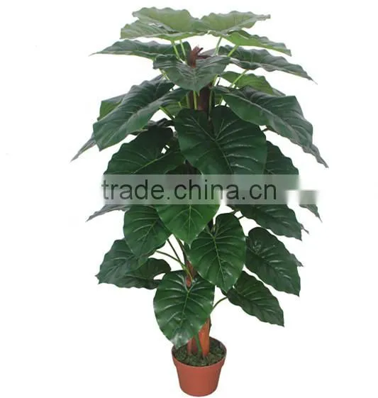 CHY030933 Indoor Artificial Bonsai Plant /plastic Fake Plant/ Artificial Alocasia Plant photo-4