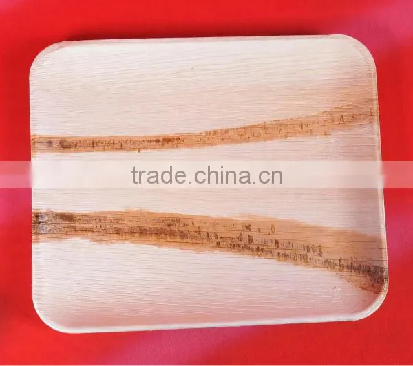 Biodegradable Tableware photo-3