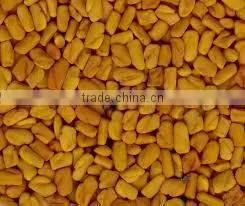 Fenugreek Seed Sortex Quality