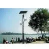 Sell Solar Garden Lamp