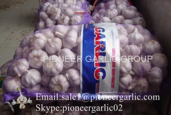 New Crop Fresh Chinese Normal White Garlic (5.0cm, 5.5cm, 6.0cm) photo-4