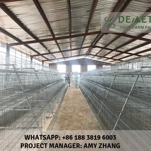 Layer Poultry Farm Cage photo-5