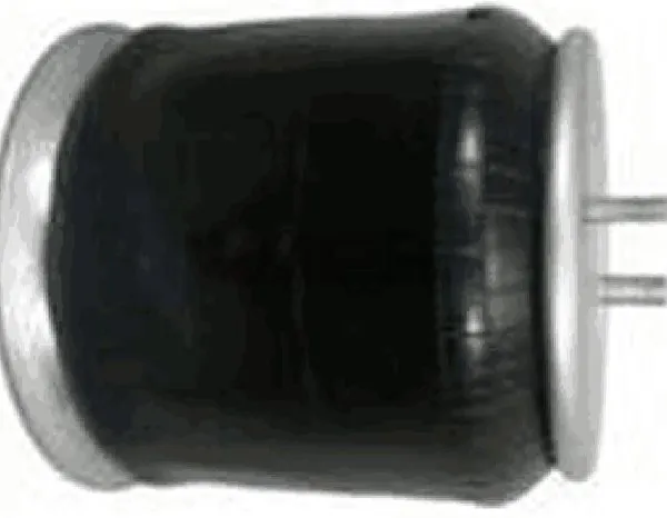 Air Spring for Freightliner Century W01-358-9780 Air Springs photo-2