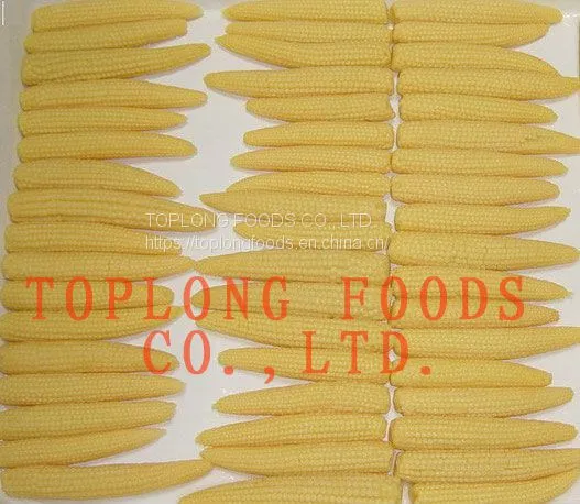 Canned Baby corn