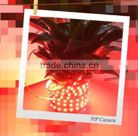 Shenzhen Lighting Accessories Factory 2015 Led Lights SMD5050 DC12V/24V Led Strip Rgbw One photo-4