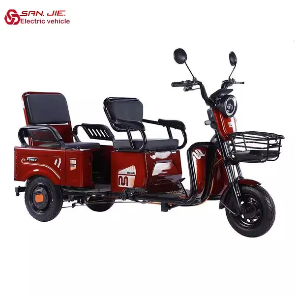 3 Wheels 800w Motor Long Endurance Electric Tricycle Adult Electric Tricycle for Hauling Goods