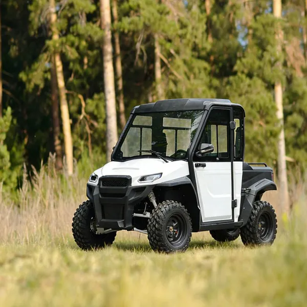 Cengo Agricultural 4WD Двухместный закрытый электрический внедорожник UTV с дальностью хода 70 - 90 км, сертифицированный по стандартам CE/GCC/Eec, с литиевой батареей, скорость 30 - 50 км/ч