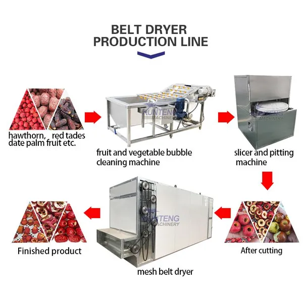 Professional Hibiscus Flower Fig Grape Coconut Powder Mesh Belt Drying Machine EPC photo-3