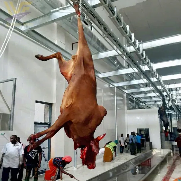 Customized Cattle Cow Abattoir Equipment Line USDA Butcher Machinery Beef Processing Production Factory Meat Slaughter Machine photo-2