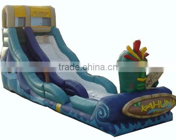 Hot Sale Inflatable Water Sliding Inflatable Pool Slide