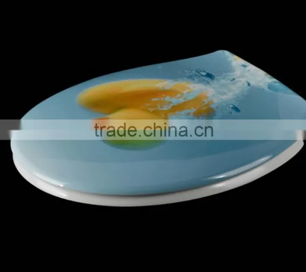 European Standard Printed Toilet Seat photo-2