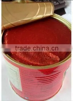425g Nature Red Canned Tomato Paste. photo-4