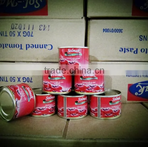 Supply 70g*50 & 70g*100 H/O Canned Tomato Paste photo-2