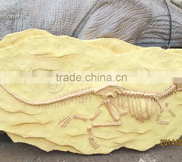 Hot Sale Fiberglass Life Size Dinosaur Skull photo-6