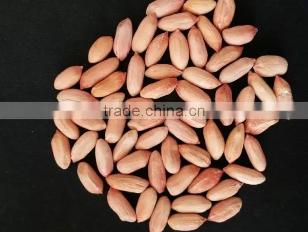 2014 Peanut Kernels, Large Size Peanut Kernels Luhua Type 24/28, 28/32, 34/38, 38/42, 45/55 photo-2