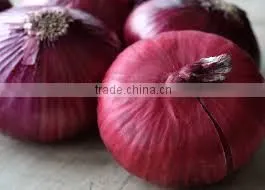 Egyptian Onion From FOR WELL photo-5