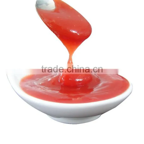 Wholesale Tomato Ketchup Tomato Sauce in Bottle of 2016 New Crop photo-3