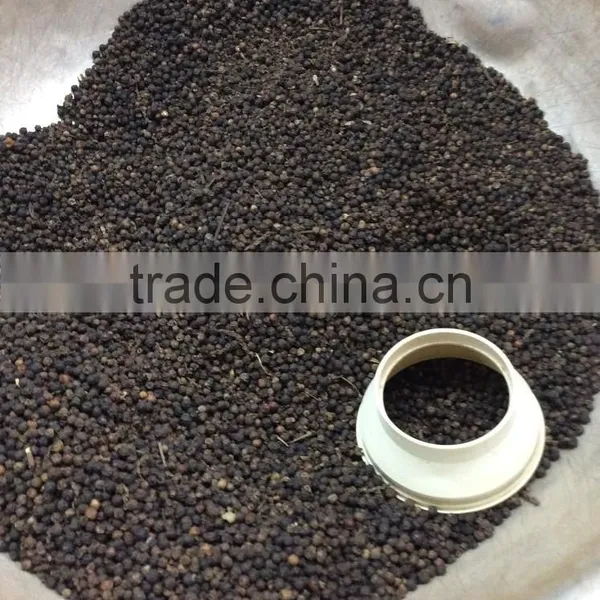 BLACK PEPPER photo-5