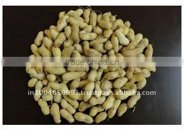 Peanut Inshell