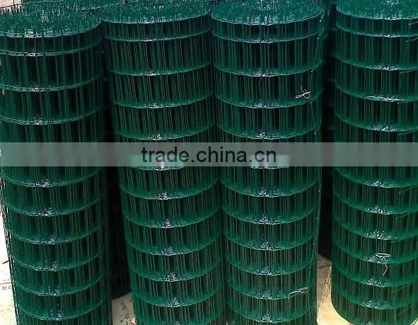 Green Pvc Coated Welded Holland Wire Mesh photo-4