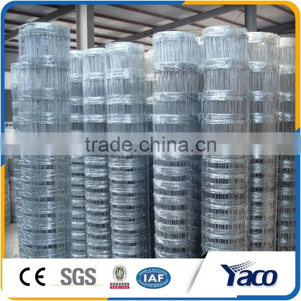 Hot Sale Galvanized Used Steel Fence T Post photo-6