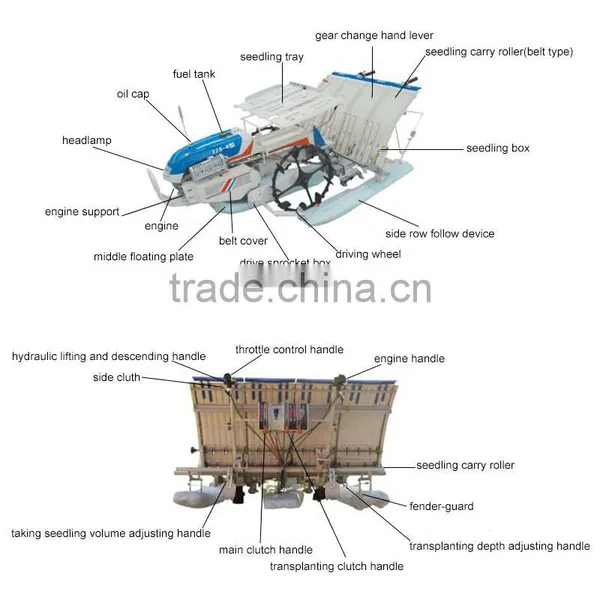 Manual Paddy Transplanter Manufacturer Chinese Factory Hand Paddy Planters Agricultural Machinery 2ZS-4A photo-2
