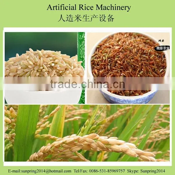 Hot Sale SP70 CE Certificate Artificial Rice Machine/making Machinery/extruder in China photo-5