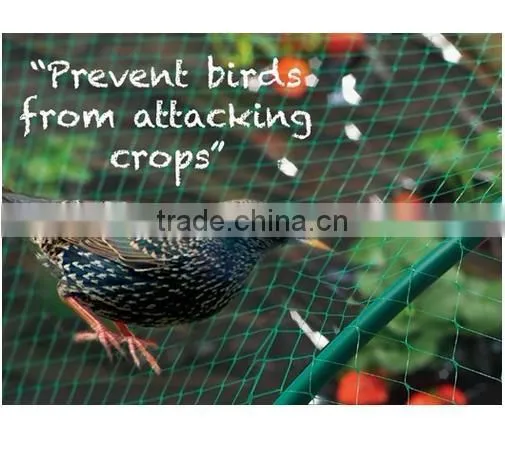 anti bird screen / anti bird net