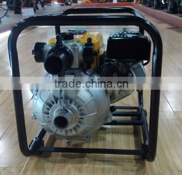 High Pressure Water Pump, Water Pump, Farm Irrigation Water Pump photo-6