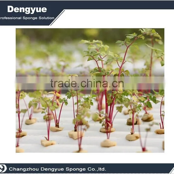 Agricultural Polyurethane High Densuty Fast Growing Plant Seed Foam/sponge Tray photo-2