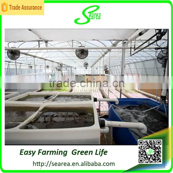 Single Span Greenhouse for Vegetable Fruits Agricultural Greenhouses photo-2