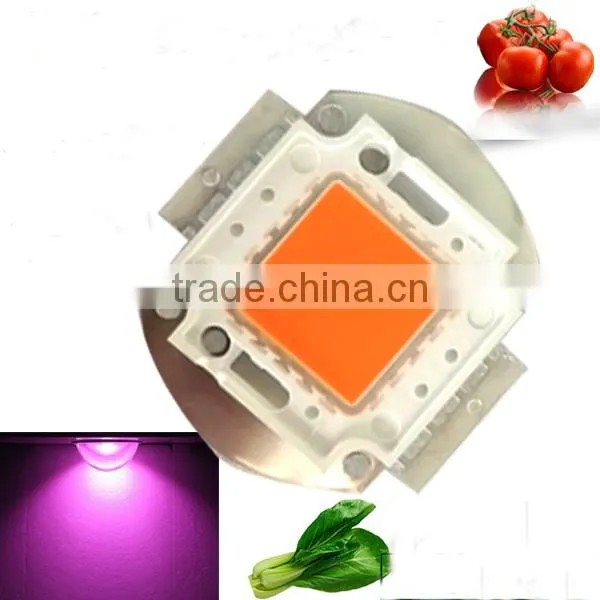 2017 20w Full Spectrum Wavelength 380 840nm Cob Led Grow Bead for Diy Indoor Plant Flower and Veg Growing photo-5