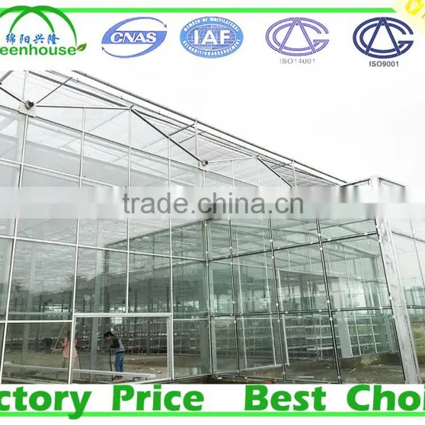 Wind Span Glass Greenhouse photo-3