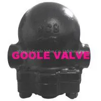 FT14 Ball Float Steam Trap