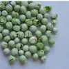 Dehydrated Green Peas