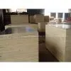 GIGA- Best Price for Concrete Formwork Plywood/film Faced Plywood photo-2