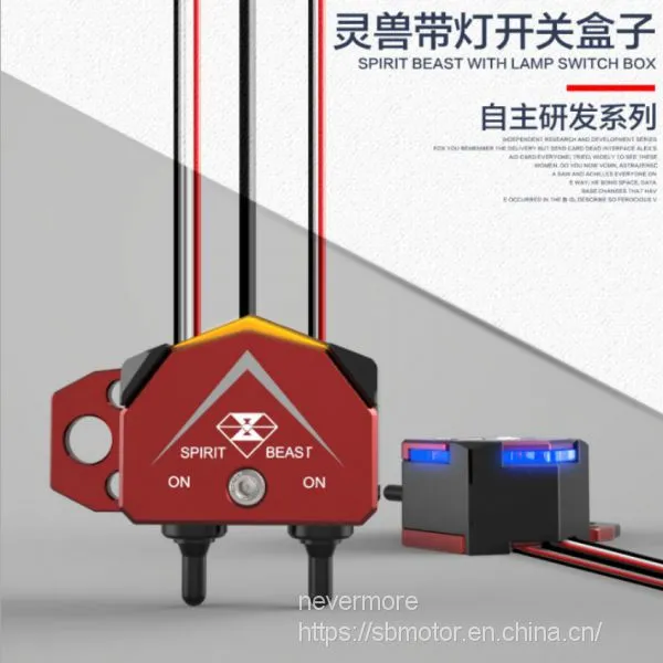 Spirit Beast motorcycle modified 12V 0.5W switches dangerous light double flash switch box ER202 L2