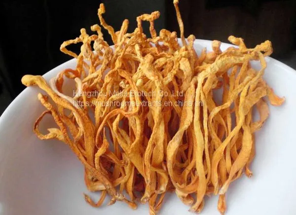 Medical Cordyceps Powder