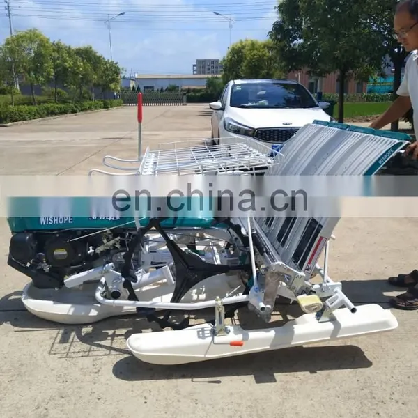 in India 6 Row Hand Walking Type Manual Rice Seed Transplanter for Sale photo-4